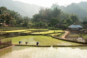 Niềm hi vọng về tương lai cho trẻ em và người dân vùng cao