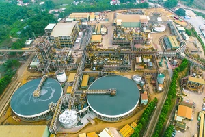 Một tập đoàn Nhật đầu tư 90 triệu USD vào MHT của Masan