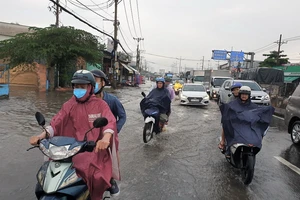 TP.HCM: Thực hiện Thỏa thuận Paris về biến đổi khí hậu