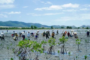 Kỳ vọng sẽ giải quyết triệt để các vấn đề môi trường