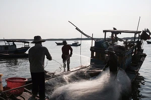 TP.HCM: bảo tồn đa dạng sinh học, liên kết hệ sinh thái