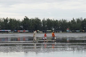 TP.HCM: Làm gì để giảm rác thải nhựa trên biển?