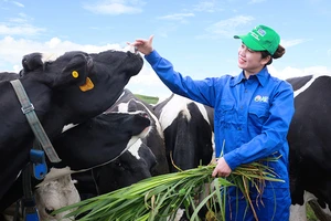 Mộc Châu Milk chính thức lên sàn UPCOM