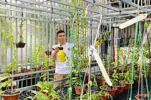 Tài Trần: khởi nghiệp tay trắng đến chủ vườn lan đột biến