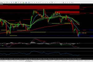 NHNN khuyến cáo rủi ro nhà đầu tư giao dịch sàn Forex