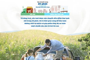 Lời giải bài toán dinh dưỡng của sữa Cô Gái Hà Lan