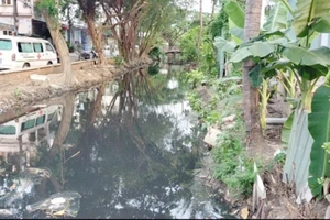 TP.HCM thực hiện nhiều giải pháp để làm sạch kênh rạch
