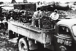 Petrolimex: 65 năm ghi dấu tiên phong trong từng bước lịch sử