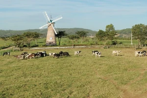 Nguồn tiền tiếp tục đổ về các quỹ ESG trong năm nay