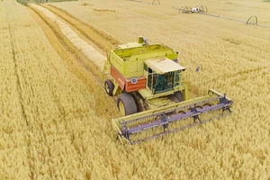 Dòng sản phẩm Nutrilite Protein đạt danh hiệu bán chạy số một thế giới