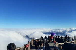 Clip Sa Pa: điểm đến cuốn hút bậc nhất miền Bắc trong mùa đông Xuân