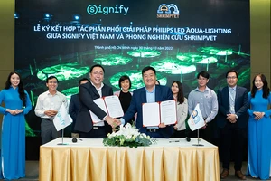 Giải pháp chiếu sáng công nghệ cao trong nuôi tôm công nghiệp