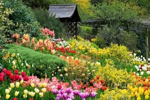 Đà Lạt thành phố ngàn hoa