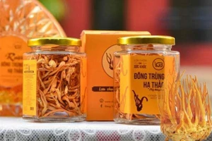 Đông trùng Hạ thảo Gia Bảo: dược liệu quý cho sức khỏe gia đình