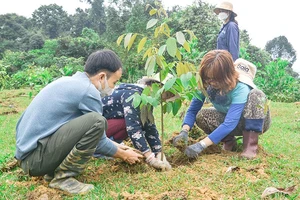 Manulife Việt Nam cùng khách hàng trồng rừng vì một Việt Nam xanh