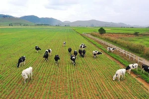 HSBC đánh giá Vinamilk là 1 trong 5 cổ phiếu đáng quan tâm nhất ở Đông Nam Á