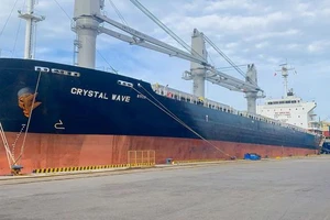 Cảng Chu Lai phát triển mạnh dịch vụ xuất nhập khẩu hàng rời