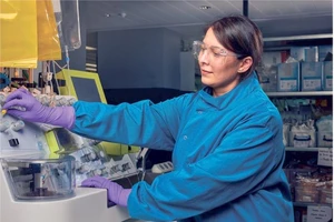 Theo nghiên cứu APPaRENT-2: phác đồ liều duy trì chủ động được ưu tiên điều trị hen phế quản