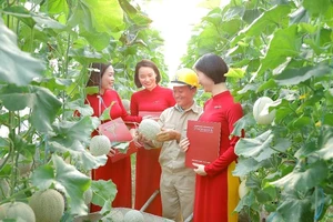 Agribank thúc đẩy tín dụng xanh, ngân hàng xanh, phát triển bền vững