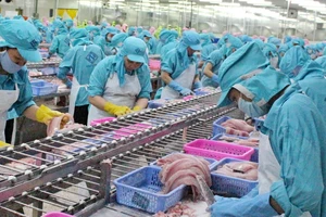 SOUTHVINA: Niềm tin, uy tín và chất lượng hàng đầu