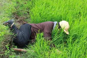 'Hai Lúa' Thanh Nam gặp tai nạn khi đóng phim