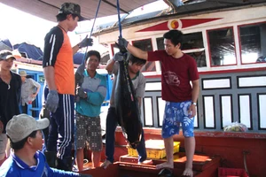 Festival tôn vinh nghề cá