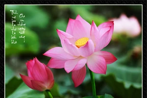 Ảnh sen về cha mẹ của nghệ sĩ Xuân Anh (Kỳ 1)