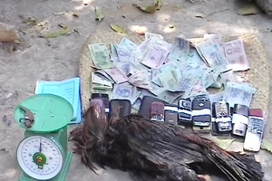 Vứt tiền tháo chạy khi cảnh sát vây ráp trường gà