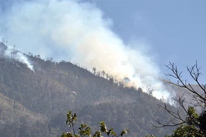 Cháy lớn ở Vườn quốc gia Hoàng Liên