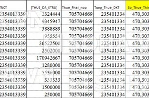 Thu nhập “khủng” một năm của Minh Hằng