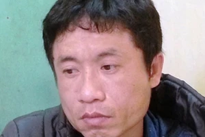 Khởi tố ông chủ 'nông trại' cần sa giữa Hải Phòng