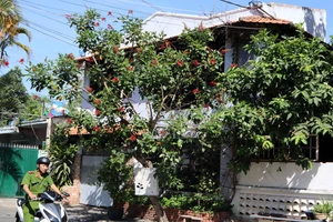 Ván bài “Nguyễn Chánh Tín cầu cứu” đang dần lật ngửa