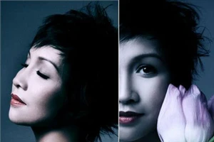 Ngắm nhan sắc rạng rỡ của những người đẹp làm Đại sứ Du lịch