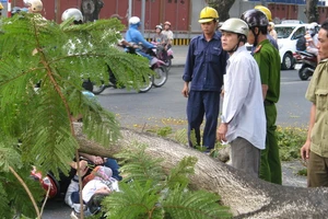Đi học qua đường Lê Duẩn, 2 nữ sinh bị cây gãy đè