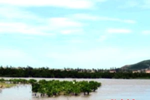 Vớt được thi thể ngư dân trên biển sau 28 ngày mất tích