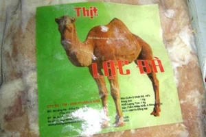 Ăn thịt lạc đà dễ nhiễm Virus MERS-CoV