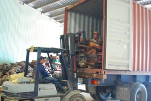 3 cán bộ hải quan để “lọt” vụ buôn lậu 614 m3 gỗ quý