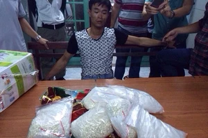 Đánh sập vụ vận chuyển hơn 7 kg ma túy từ Hải Phòng vào TP HCM