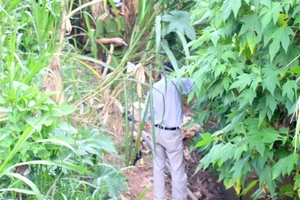 Xác chết bí ẩn nổi trên suối Cam Ly