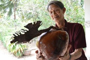 Gặp “vua dừa” trước chuyến đi Trường Sa