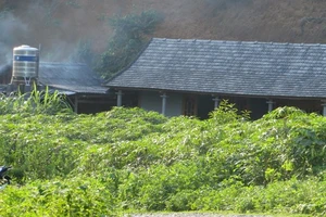 Con gái 14 tuổi giết mẹ