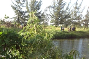 Cãi nhau, đôi tình nhân nhảy kênh tự tử