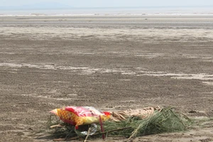 Phát hiện thi thể một bé trai bị sóng đánh dạt vào bờ