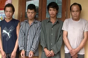 Trộm 12 con trâu để xẻo đùi ăn