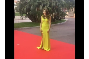 Ca sĩ Mỹ Tâm là “siêu sao” âm nhạc quốc tế ?