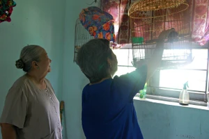 Tuổi già của những nghệ sĩ Sài Gòn vang bóng một thời