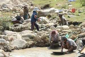 Rộ tin đào được 1,4 kg vàng