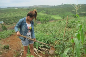 Rơi vào 'động quỷ' vì tin lương rửa bát 30 triệu đồng