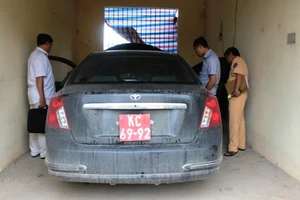 Xe gian mang biển đỏ giả