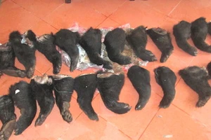 Hành khách vứt 22 chân, tay gấu bỏ trốn